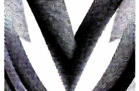 The Political Signal in the Noise: Darline Graham Nordone and the Geometry of Crypto Influence The Political Signal in the Noise: Darline Graham Nordone and the Geometry of Crypto Influence