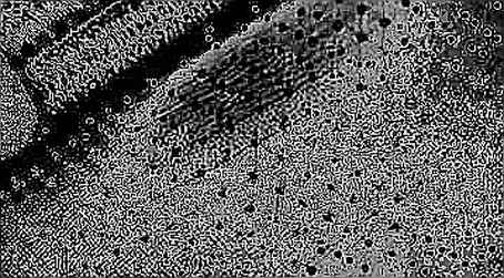 The Midterm Variable: Why AI Infrastructure Is Now a Political Derivative The Midterm Variable: Why AI Infrastructure Is Now a Political Derivative