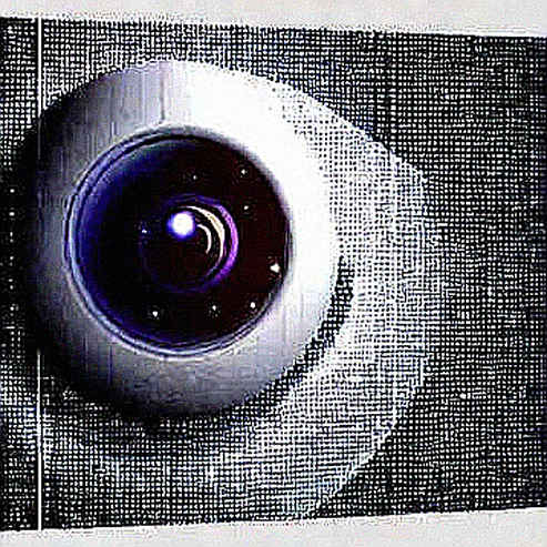 The Neural Ledger: Why Conduit's 10,000 Hours of Brain Data Is an Unaudited Token